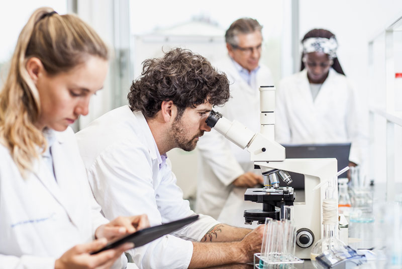 lab technicians analysing samples under a microscope